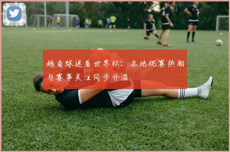 越南球迷看世界杯:本地观赛热潮与赛事关注同步升温